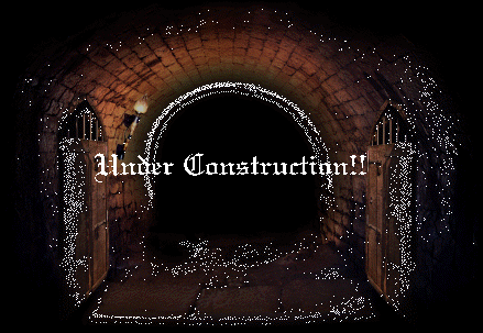 A dark brick tunnel with two metal doors on the left and right. In the center is white text that reads: Under Construction!!